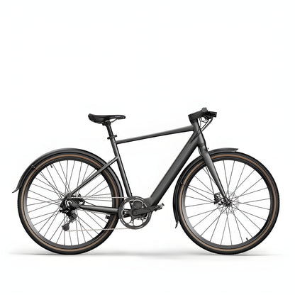 Fiido C21 36V/5.7Ah Gravel Step Over Electric Bike - THEY DO NOT DO DROPSHIPPING