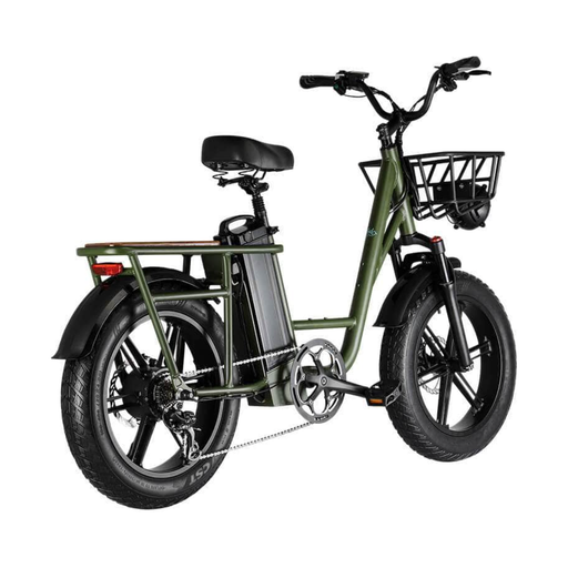 Fiido T1 Pro 48V/20Ah 750W Electric Cargo Bike