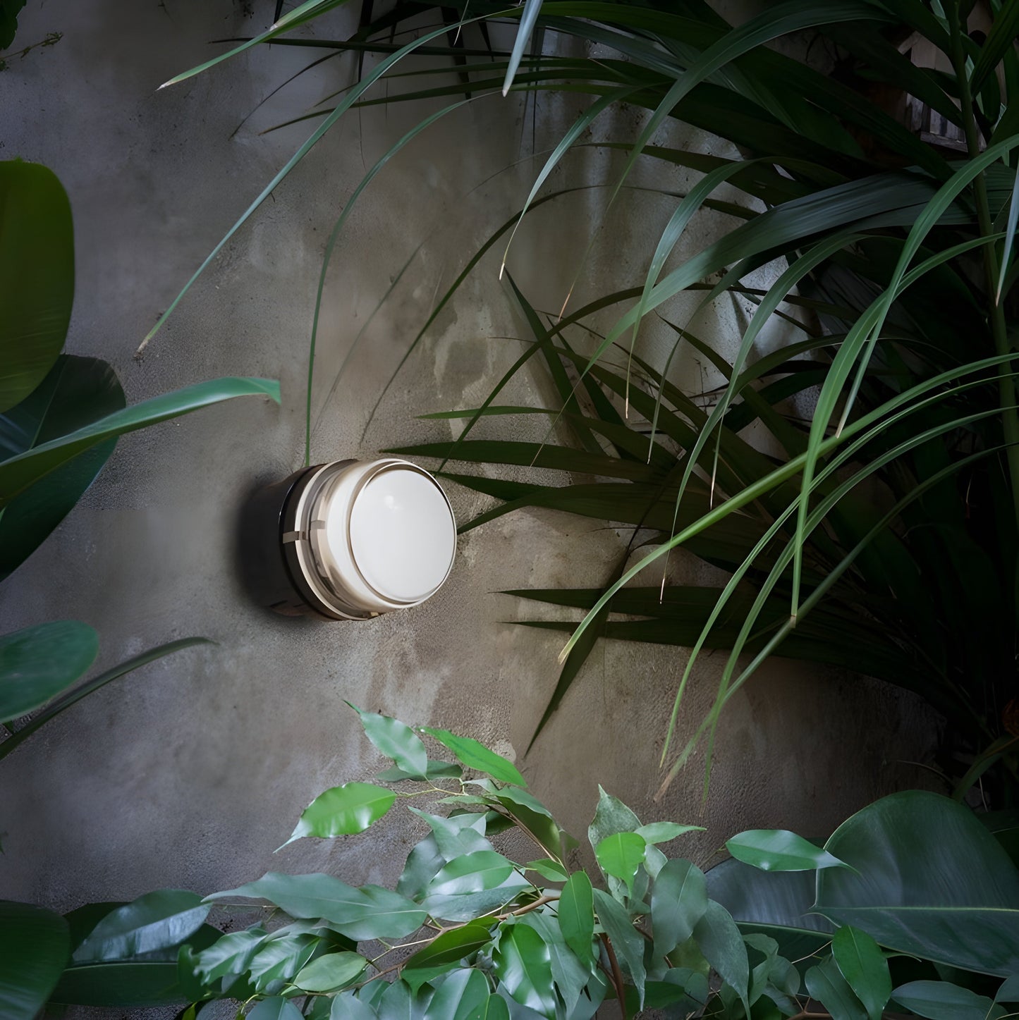 Oluce Fresnel Outdoor Wall Lamp - OL-FRESNEL-1148-BL