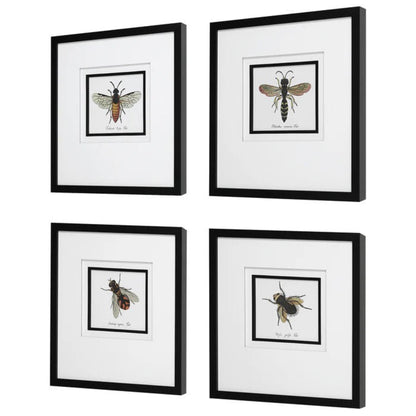 Uttermost Anthophila Framed Prints, S/4 41428 - S/4 41428