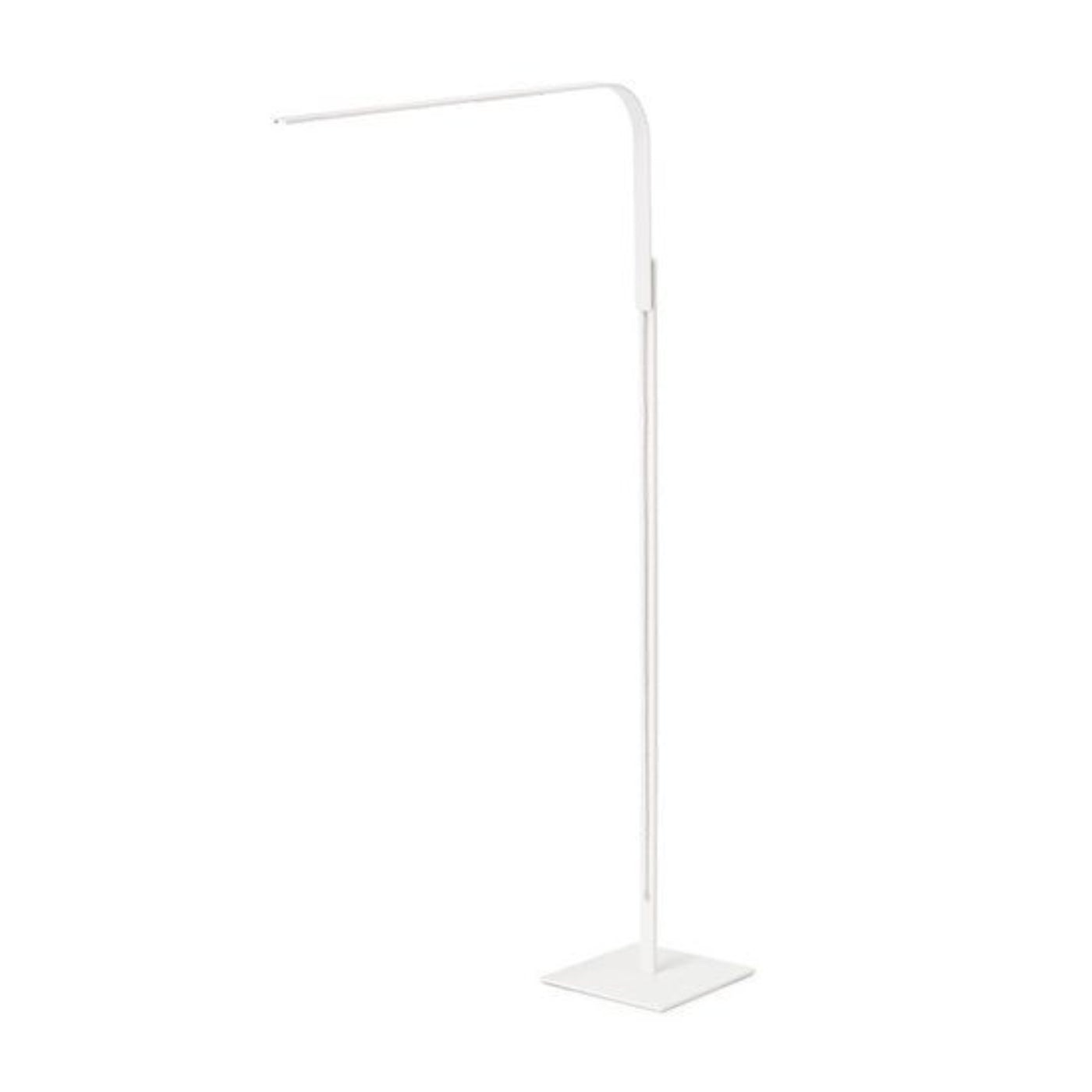 Pablo Designs Lim Floor Lamp
