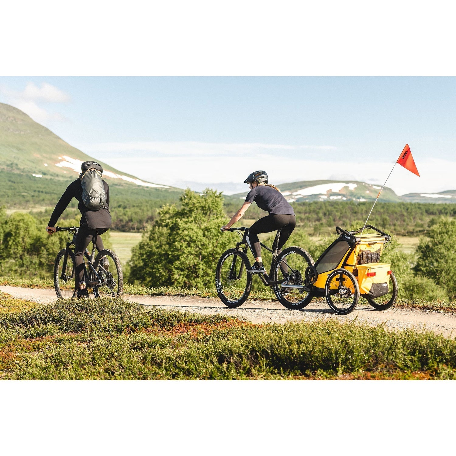 Thule Chariot Sport Bike Trailer/Stroller