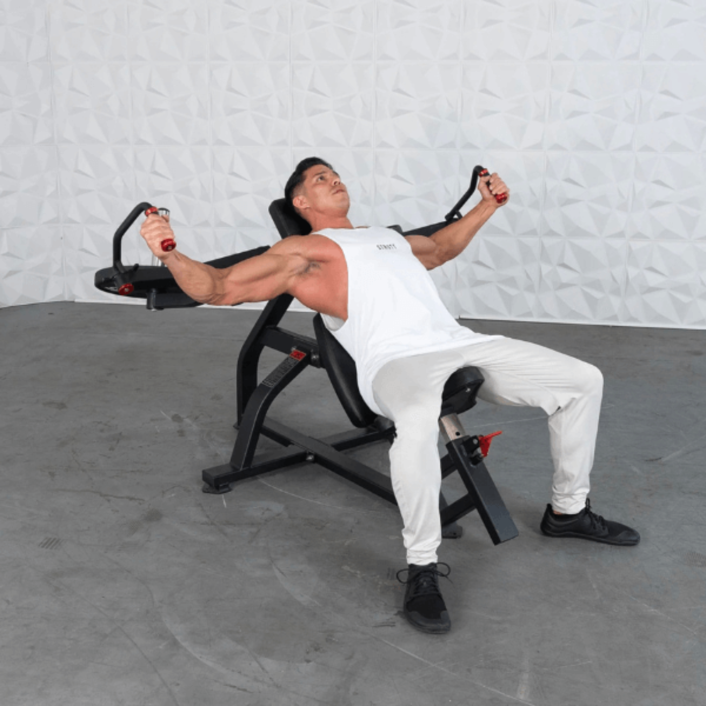 Muscle D Excel Leverage Incline Fly Machine - PL-E-IPF