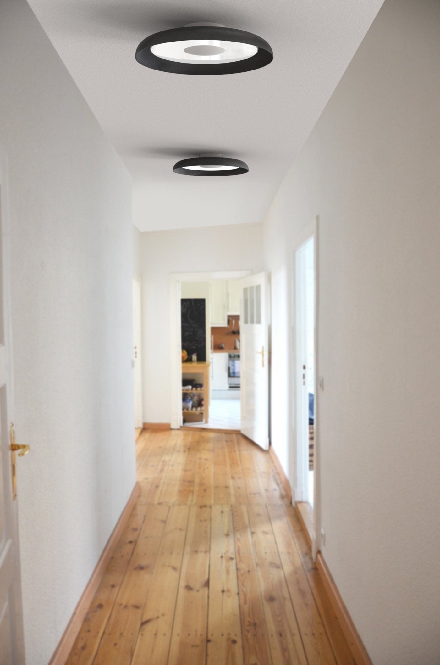 Pablo Designs Nivél Flush 22 Wall/Ceiling Lamp