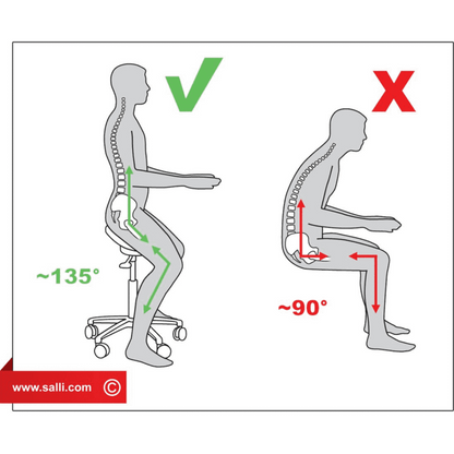 Salli Slim Basic Ergonomic Chair for Kids and Petite Women - SSB