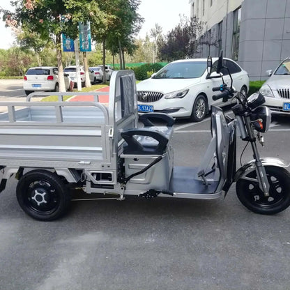 PET 500W Electric Cargo Truck 3-Wheel Scooter