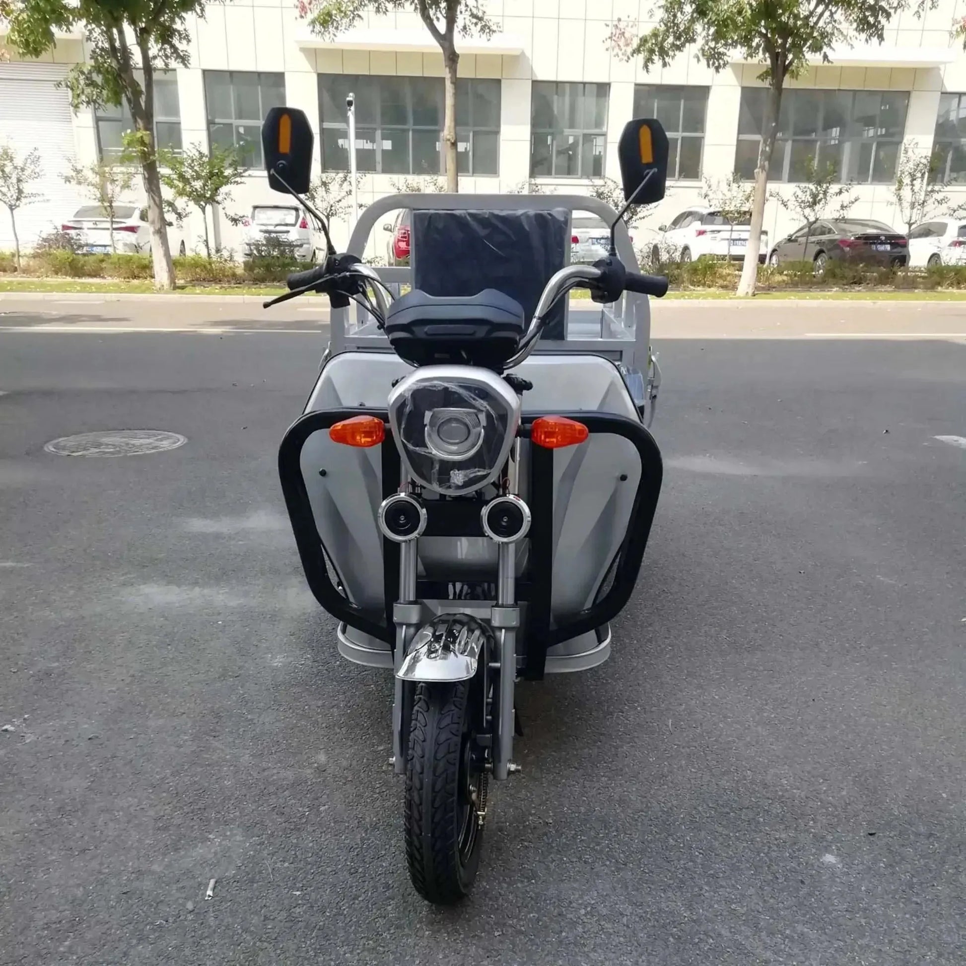 PET 500W Electric Cargo Truck 3-Wheel Scooter