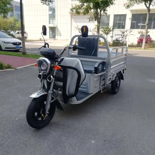 PET 500W Electric Cargo Truck 3-Wheel Scooter