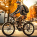 Philodo H8 48V/23Ah 2000W Mountain Electric Bike