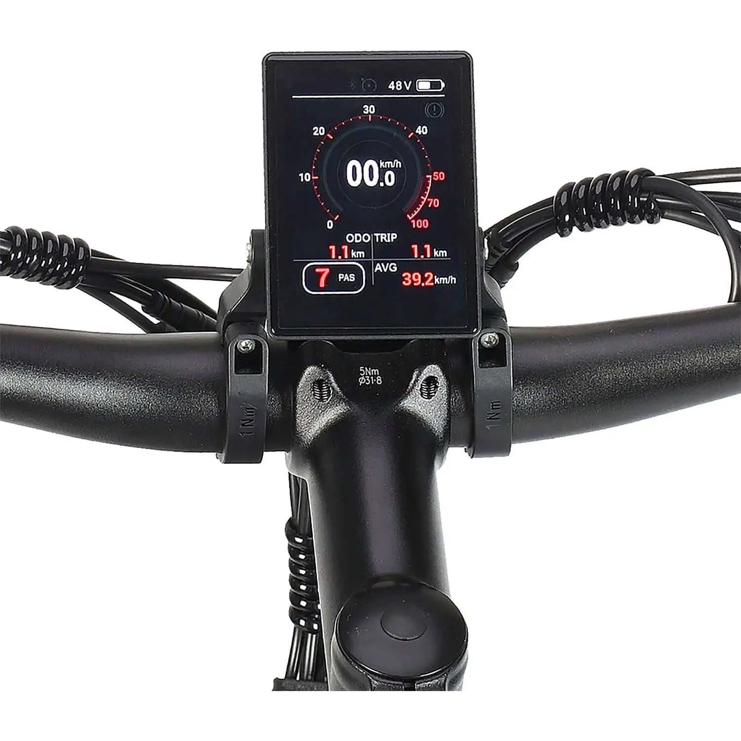 Philodo Jumbo 48V/23Ah 2000W Fat Tire Electric Bike