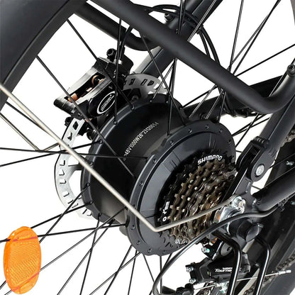 Philodo Jumbo 48V/23Ah 2000W Fat Tire Electric Bike