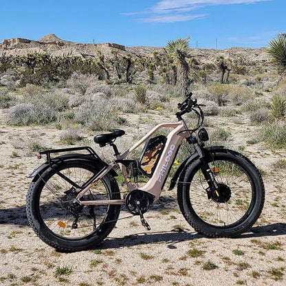 Philodo Jumbo 48V/23Ah 2000W Fat Tire Electric Bike
