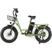 Philodo T1 48V/20Ah 750W Step-Thru Electric Bike