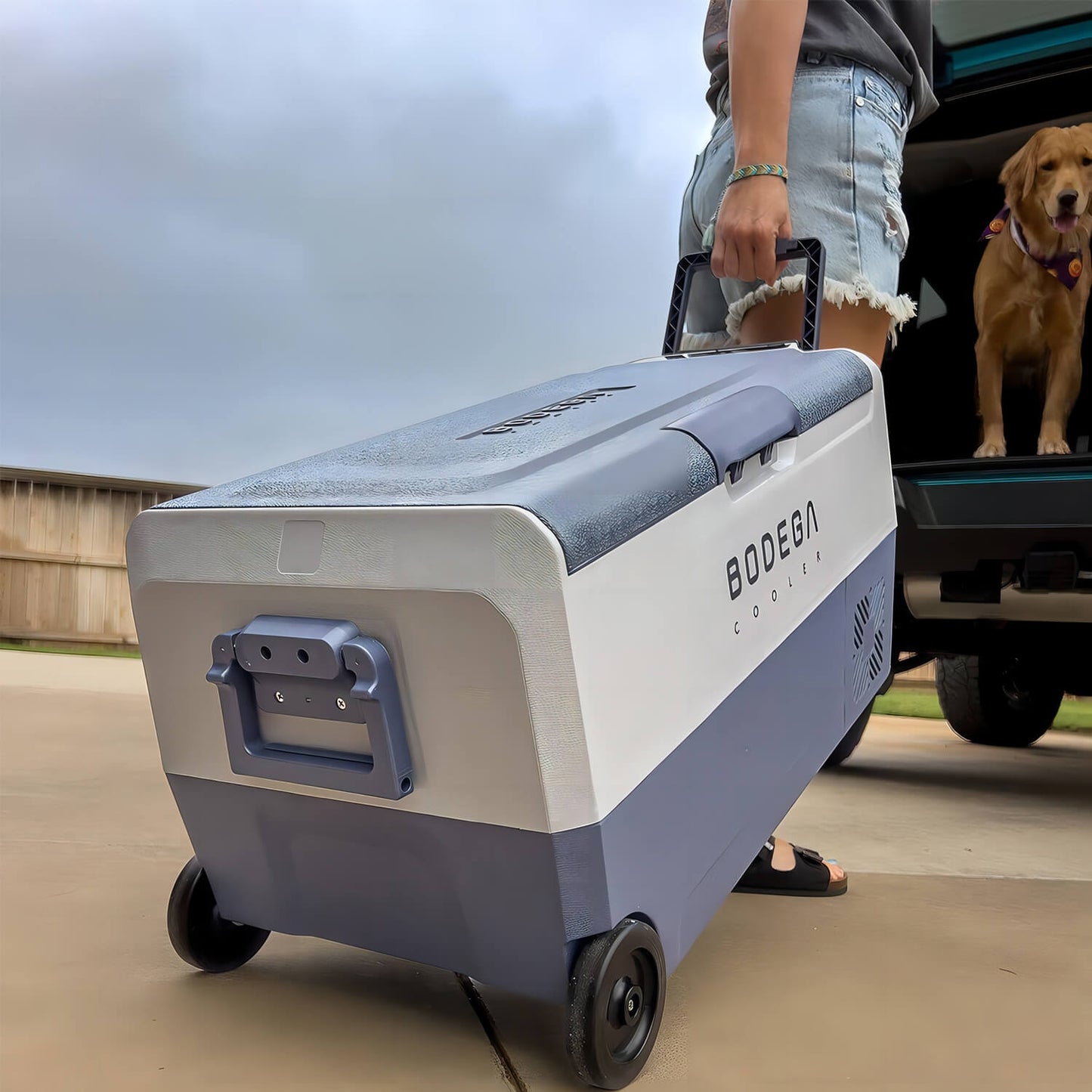 BODEGAcooler 38qt/36L T36 Dual Zone 12V Portable Car Fridge - T36+T36 Cover