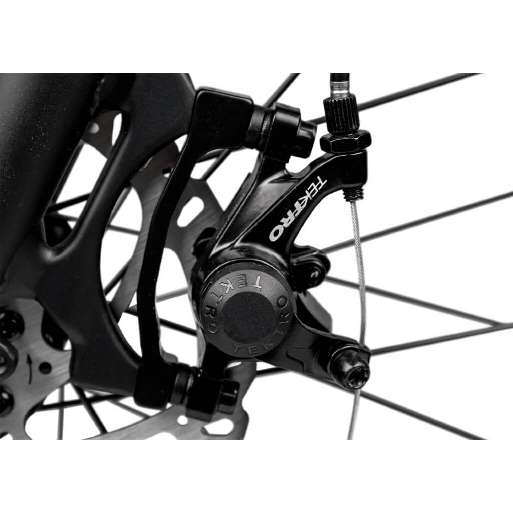 Rambo Cruiser 500W 48V Electric Mountain Bike