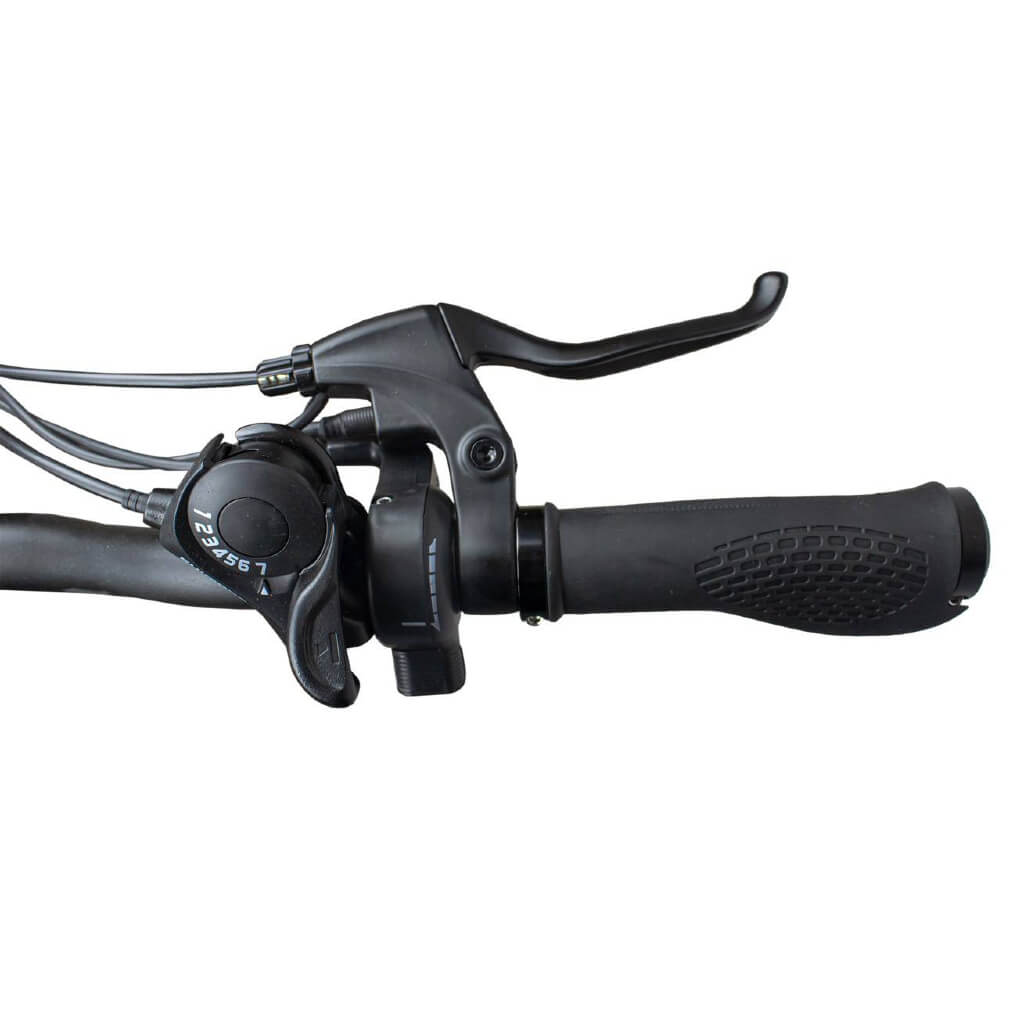 Rambo Cruiser 500W 48V Electric Mountain Bike