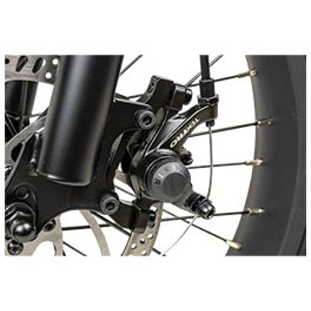 Rambo Rooster 750W 48V Step-Thru Electric Bike