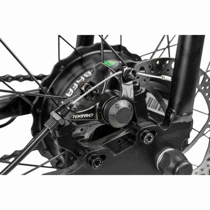 Rambo Rooster 750W 48V Step-Thru Electric Bike