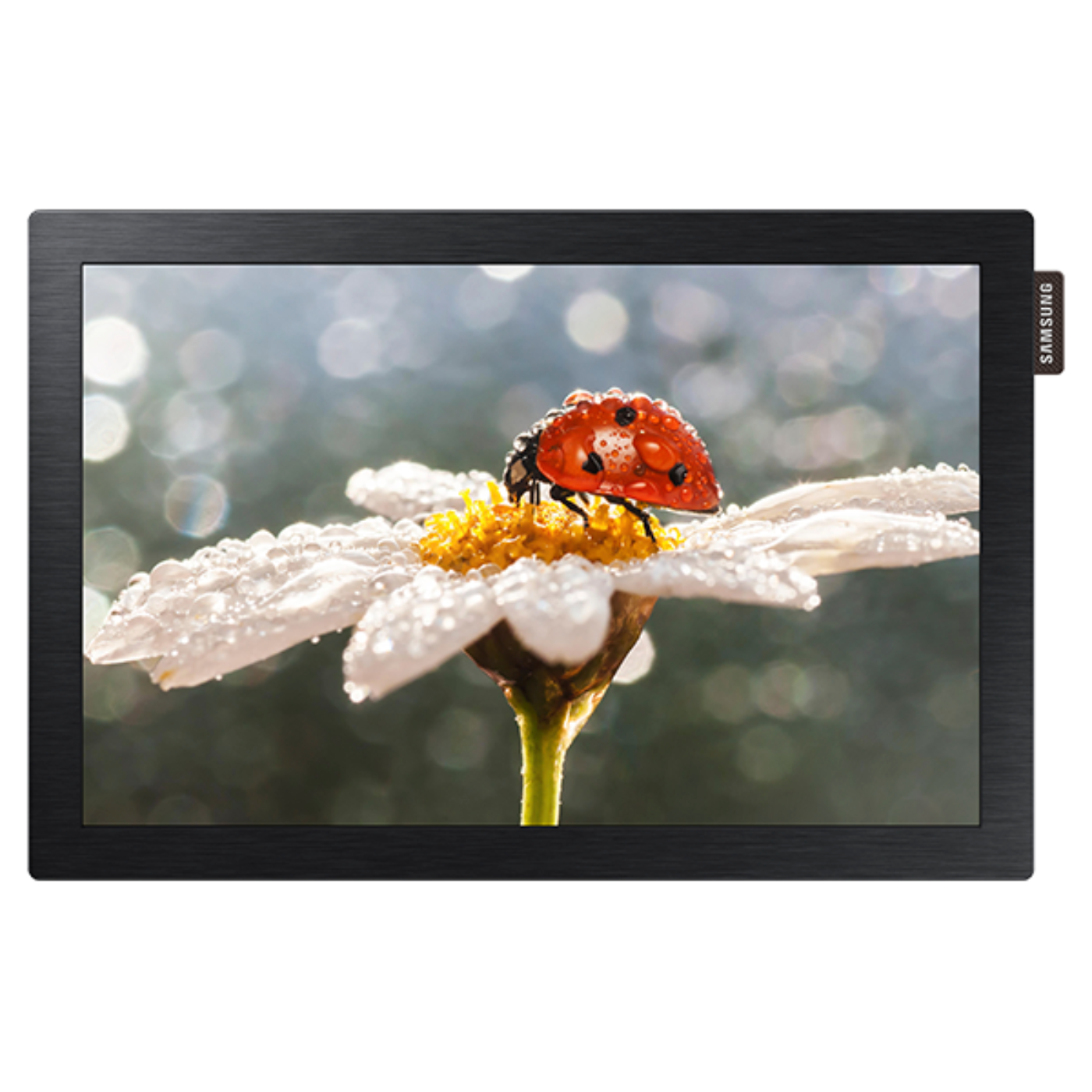 Samsung DB10E-T — DB-E Series 10.1" Edge-Lit LED Touchscreen Display - LH10DBEPTGC/ZA