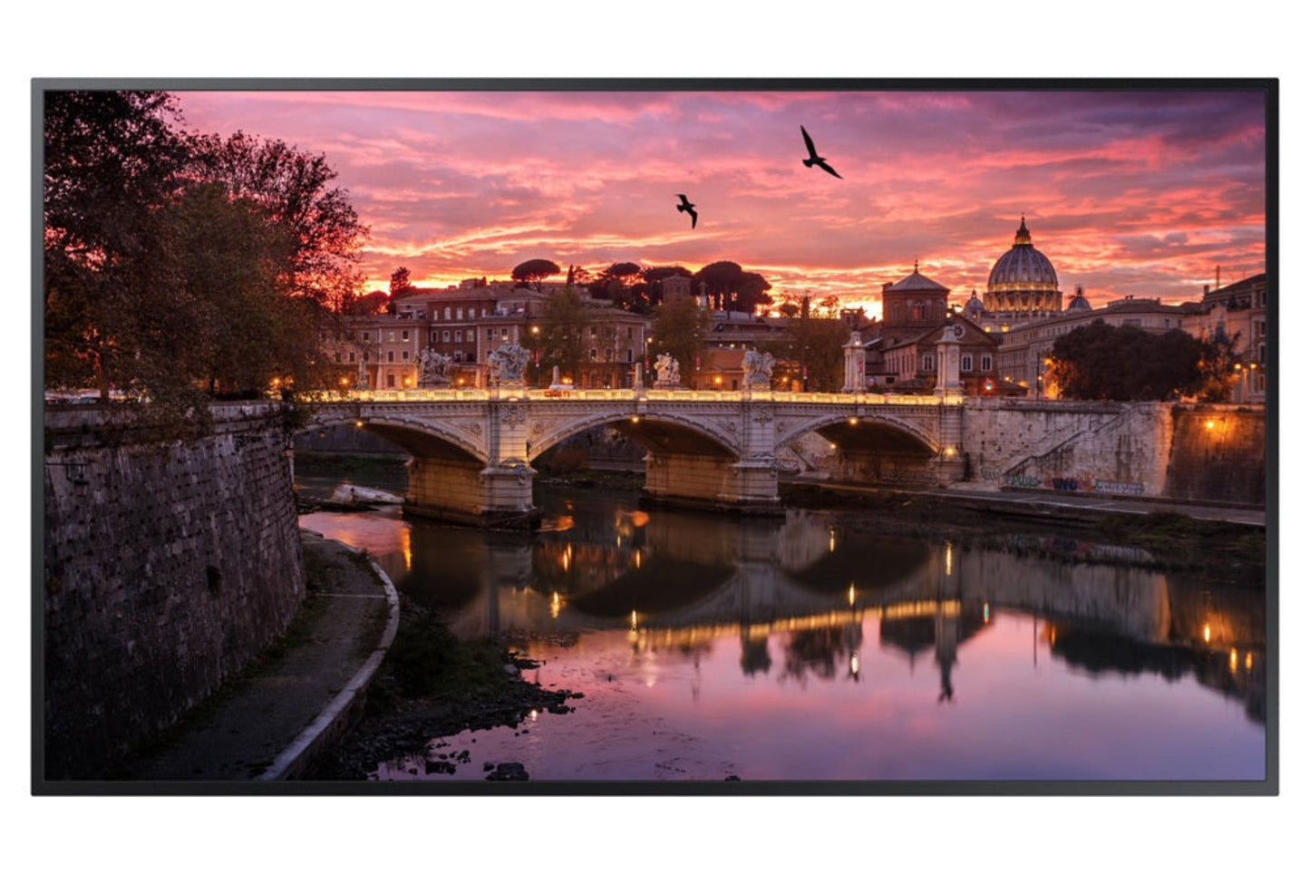 Samsung QB55R-N 55" Edge-Lit 4K UHD LED Business Display - QB55RN