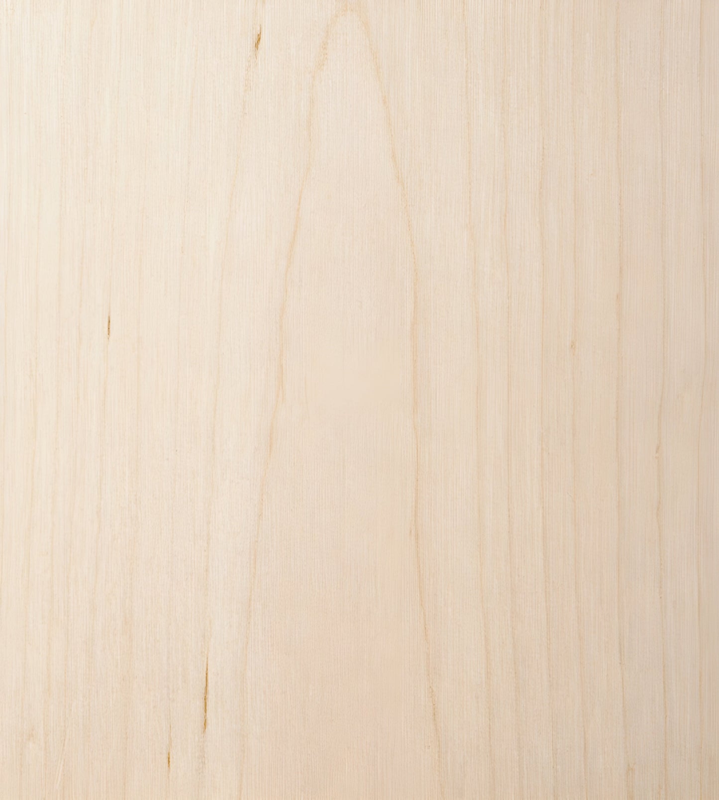 Nikari Seminar KVI2 Bench - KVI2-B