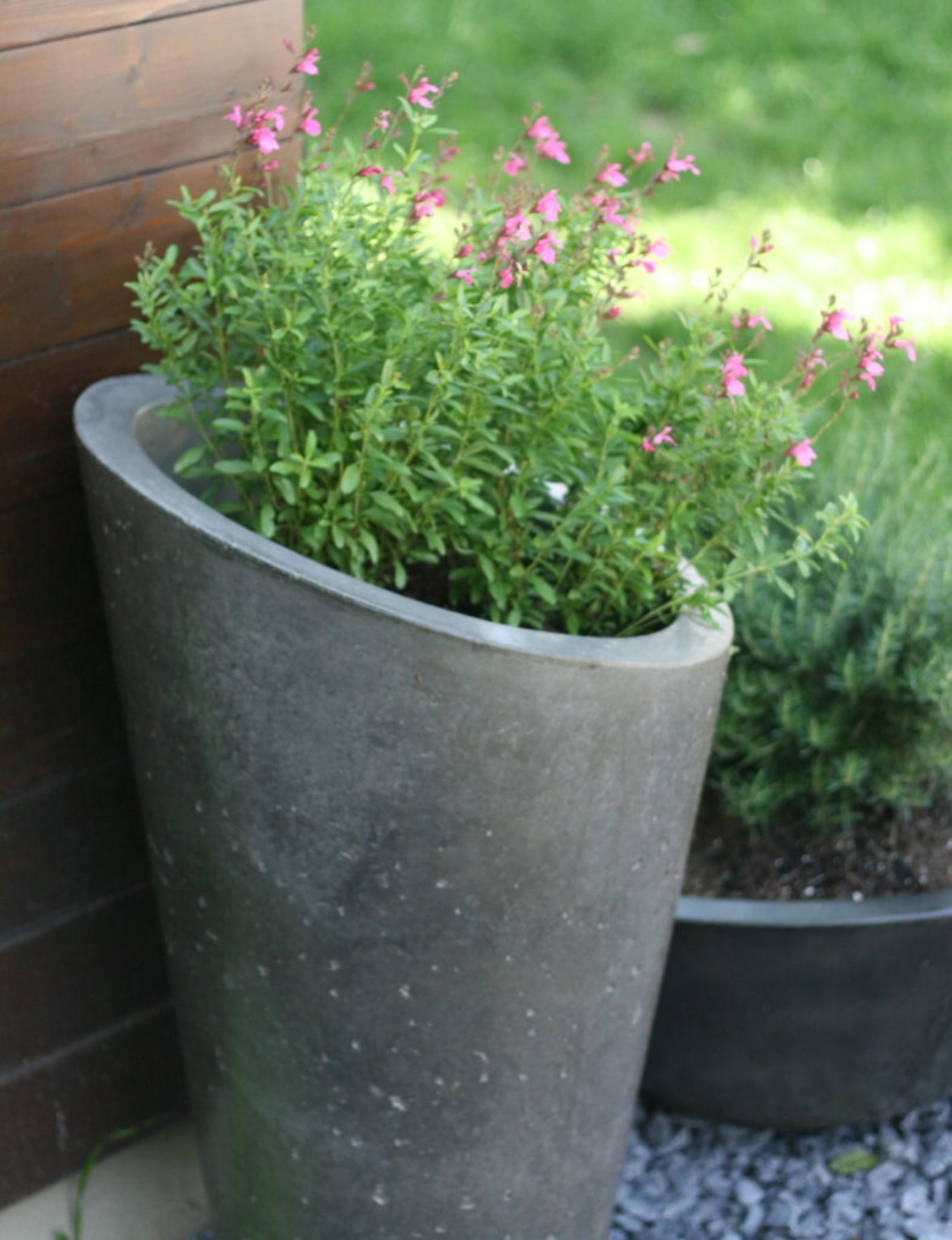 Slick Rock Bouquet Slim Planter - BS2236