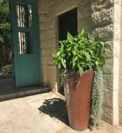 Slick Rock Classic Slim Planter - CS2236