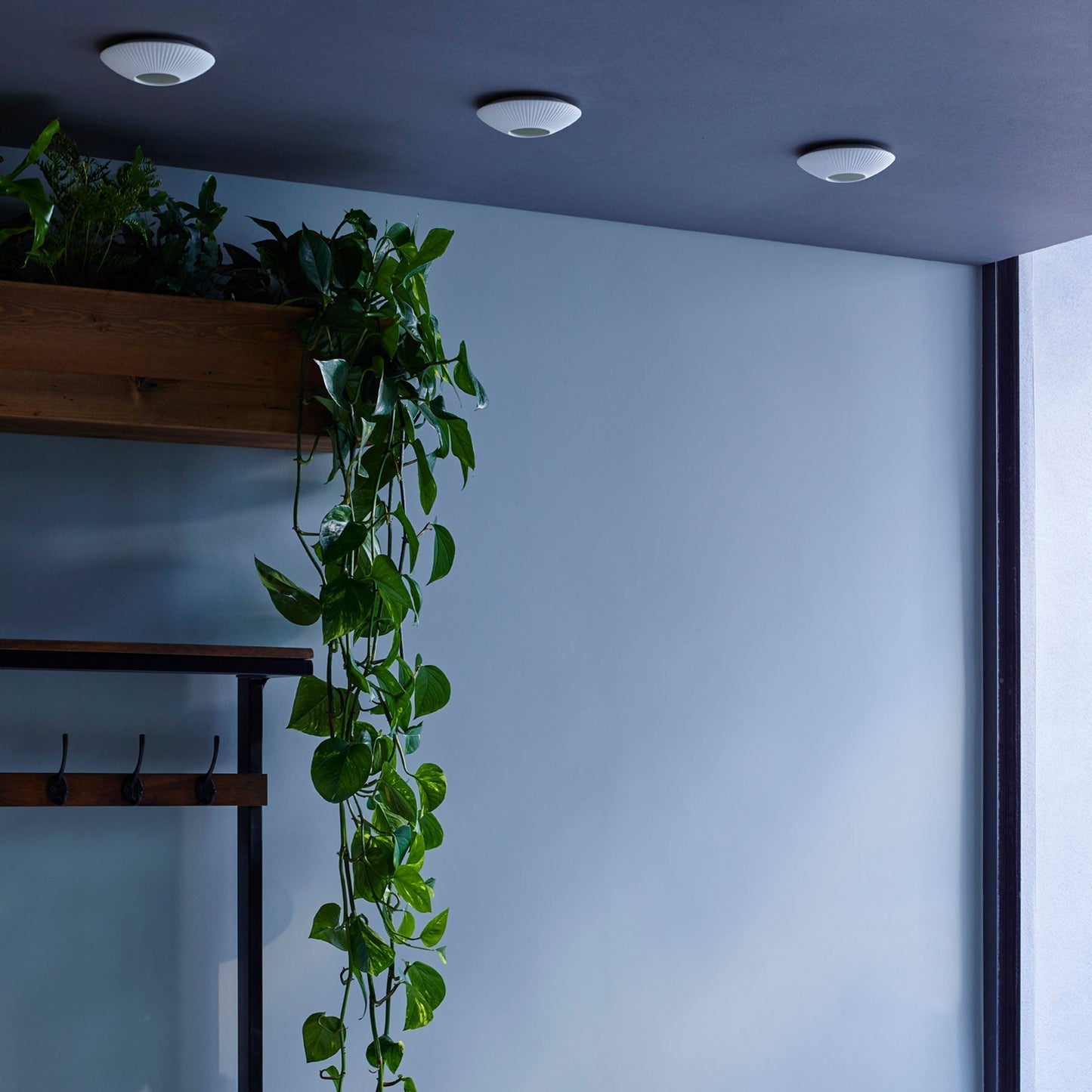 Original BTC Sopra Downlight