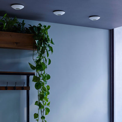 Original BTC Sopra Downlight