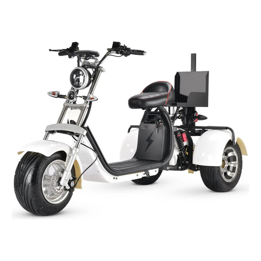 SoverSky T7.3 60V/20Ah 2000W Fat Tire Electric Trike