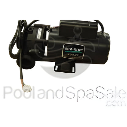 MASTER SPAS 2 horsepower, 2 speed, 120V Sta-Rite - X321610
